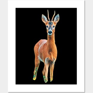 Roe Deer - Woodland Themed Kids Room, Funny Gifts For Forester, Cute Animals Posters and Art